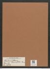 Thalassiothrix frauenfeldii Grun. (de-Toni-Nr.: Genus 67, Species 2669) Zeichnungen Sammlung Grunow Mappe 02875 (Herbarium_W_Grunow_drawings_Folder_02875)
